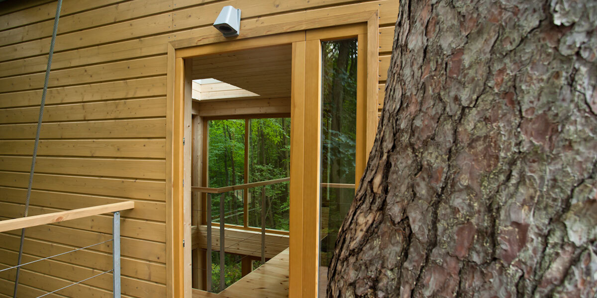 Thinning ratio even 1:1