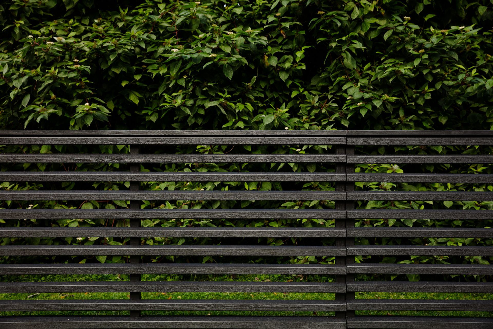 dark colour wooden fence