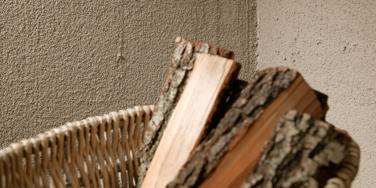 tunto karhea behind logs of wood