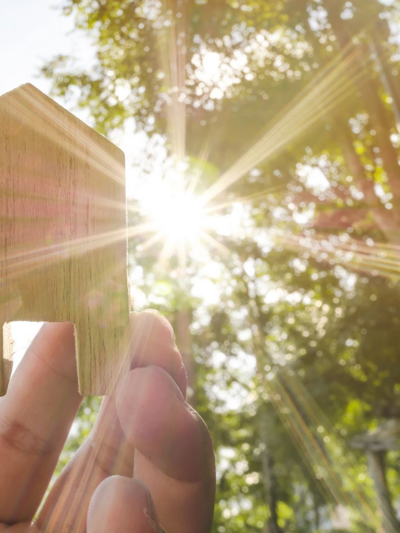 Wood construction conserves natural resources