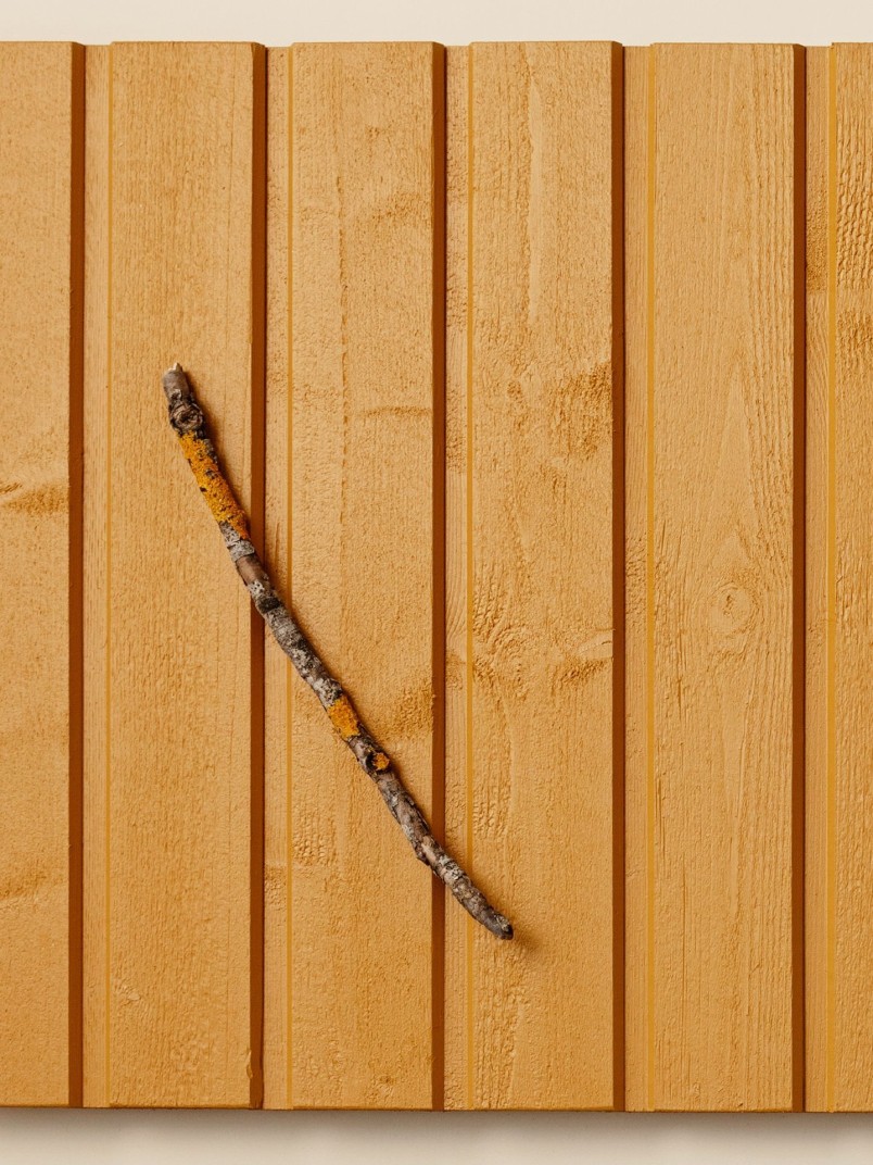 Popular wooden facade colour Yellow D105