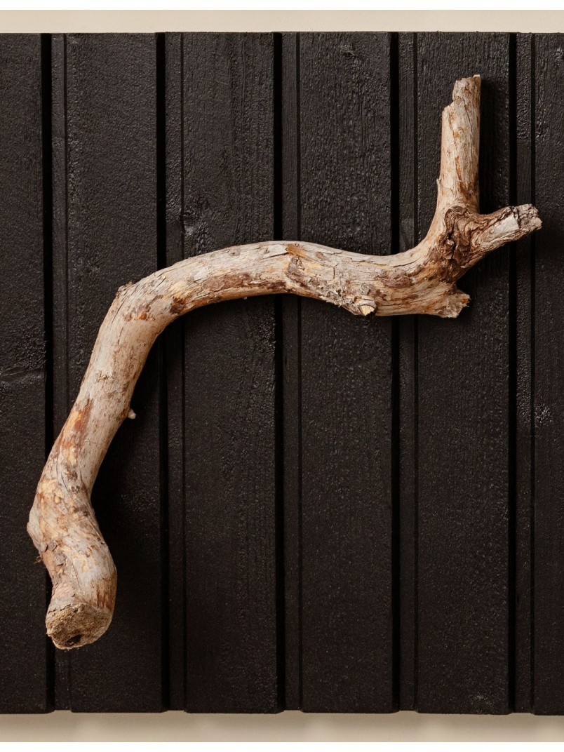 popular wooden facade colour black D129