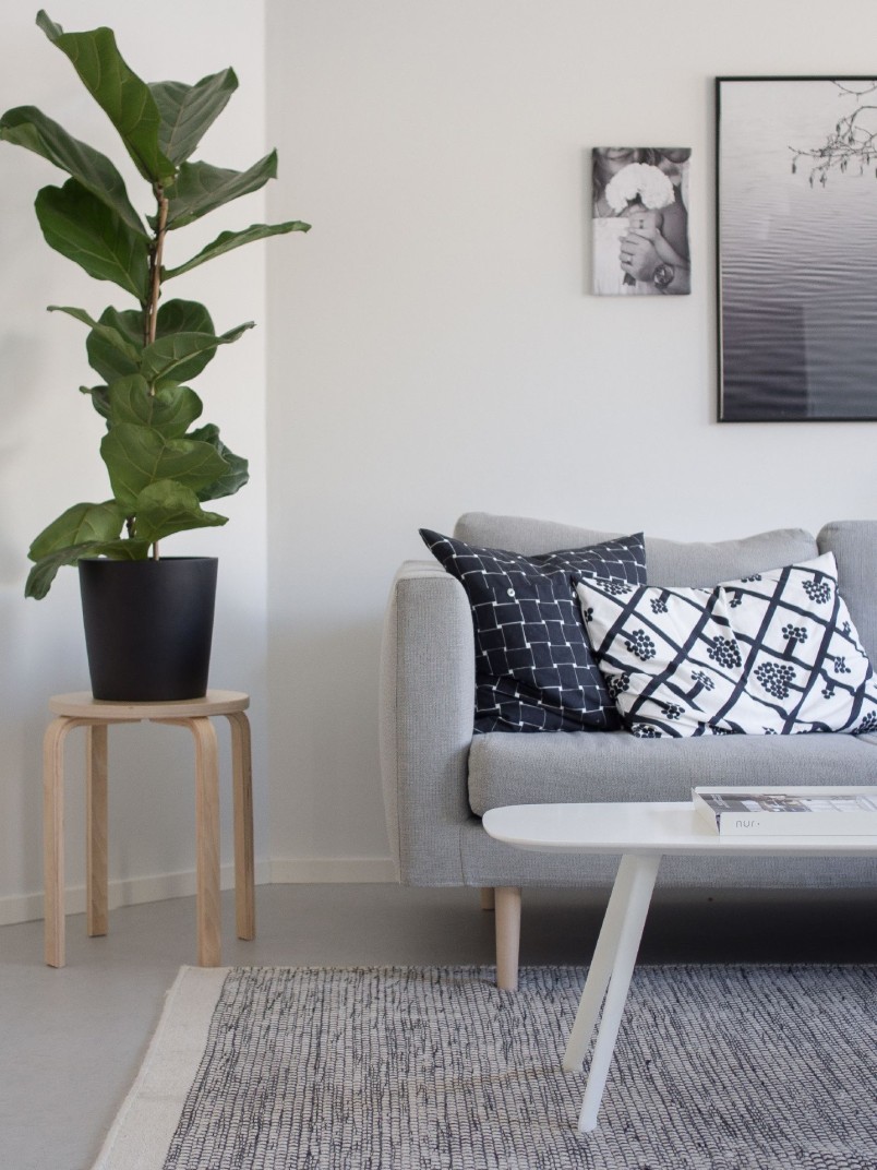 living room in Tikkurila White