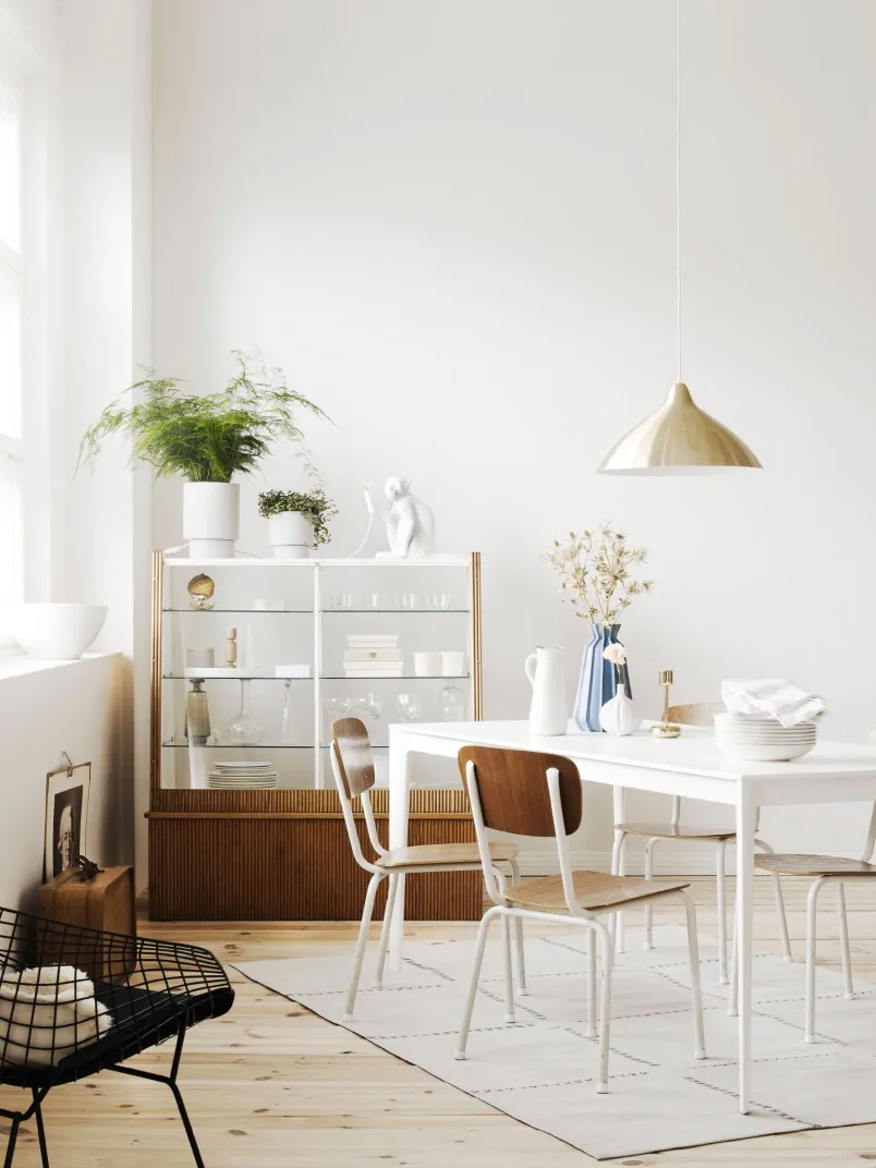 the best shades of white