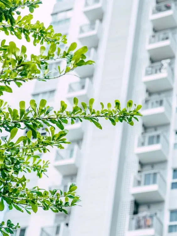 green building