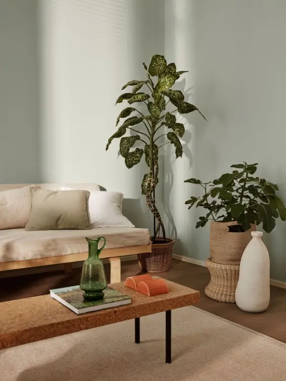 timeless style colours