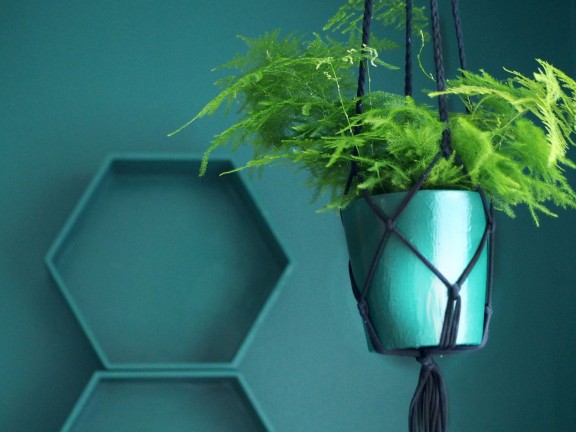 Fjord green study room