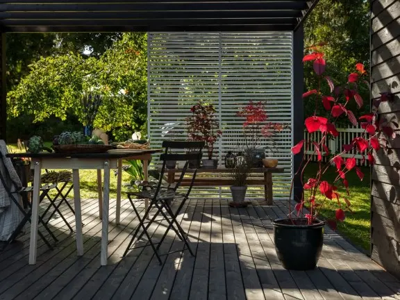 choosing colour for terrace