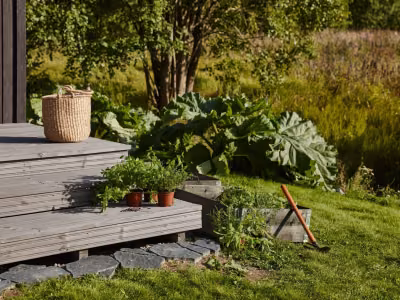 ideas for natural terrace garden