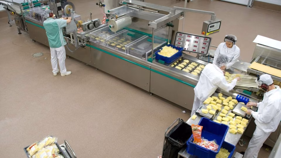Food processing industry