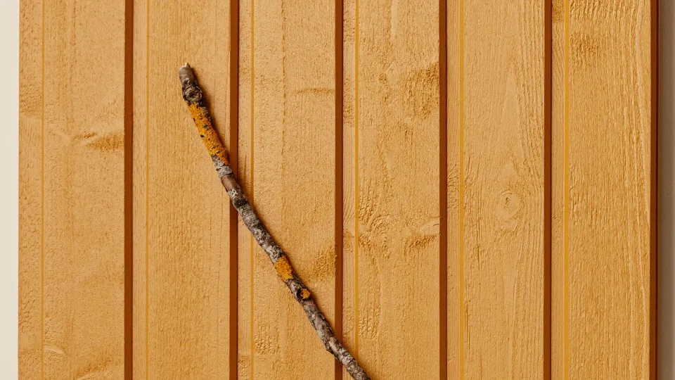 yellow facade colour D105 Sinappi