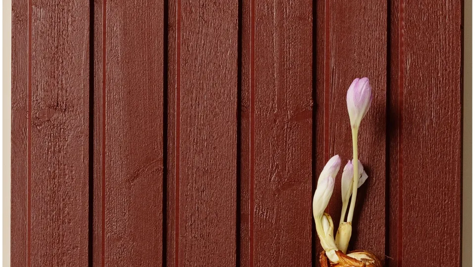 red facade colour D110