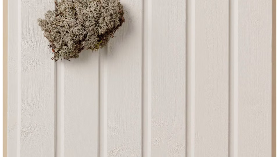 white facade colour Q854 Pyry