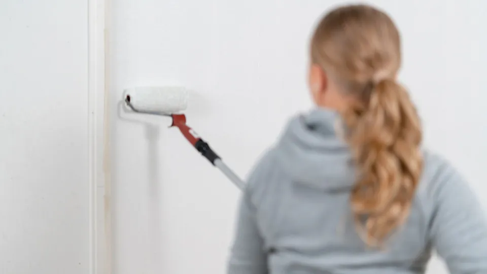 Painting interior wall