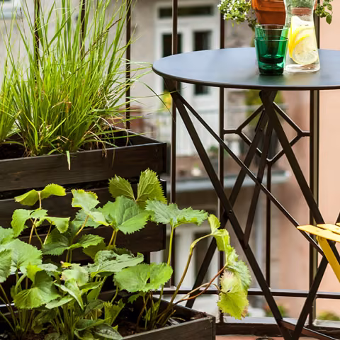 Balcony makeover - creating an urban oasis