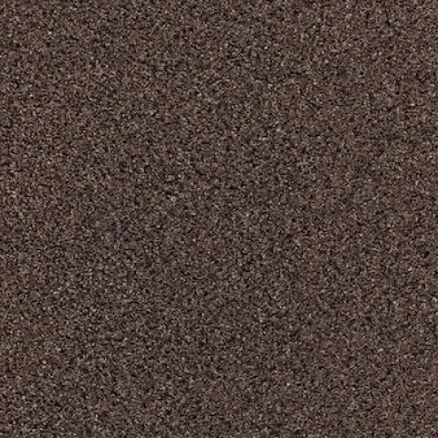 Bronzite