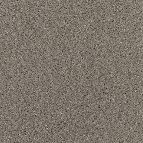 Meteorite