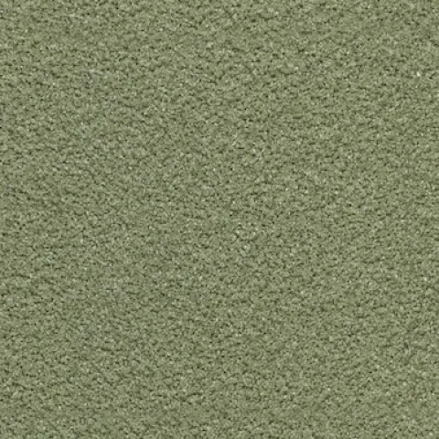 Vesuvianite