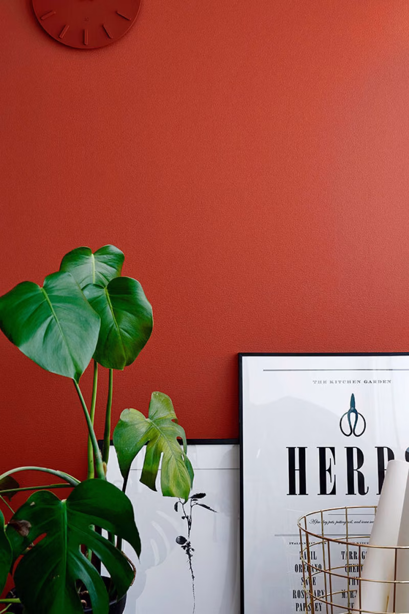 tomato coloured wall