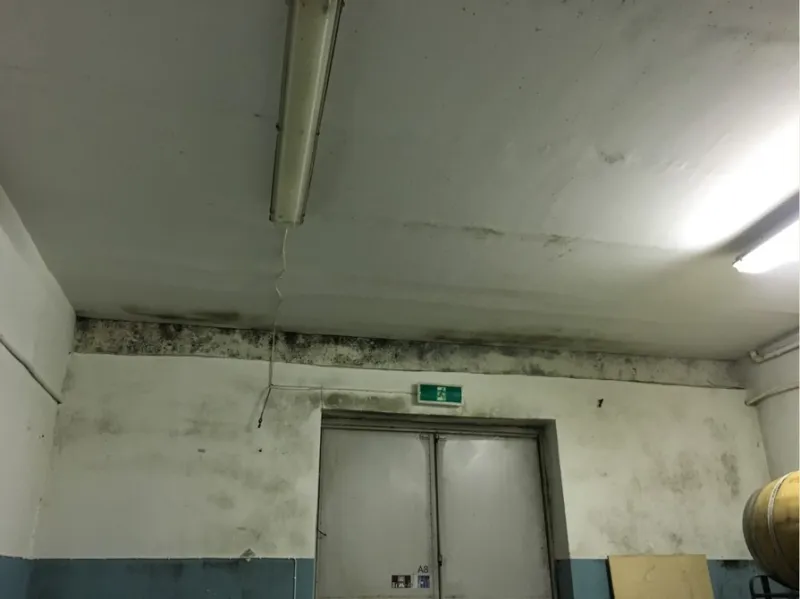 Wall before the Tikkurila paint job