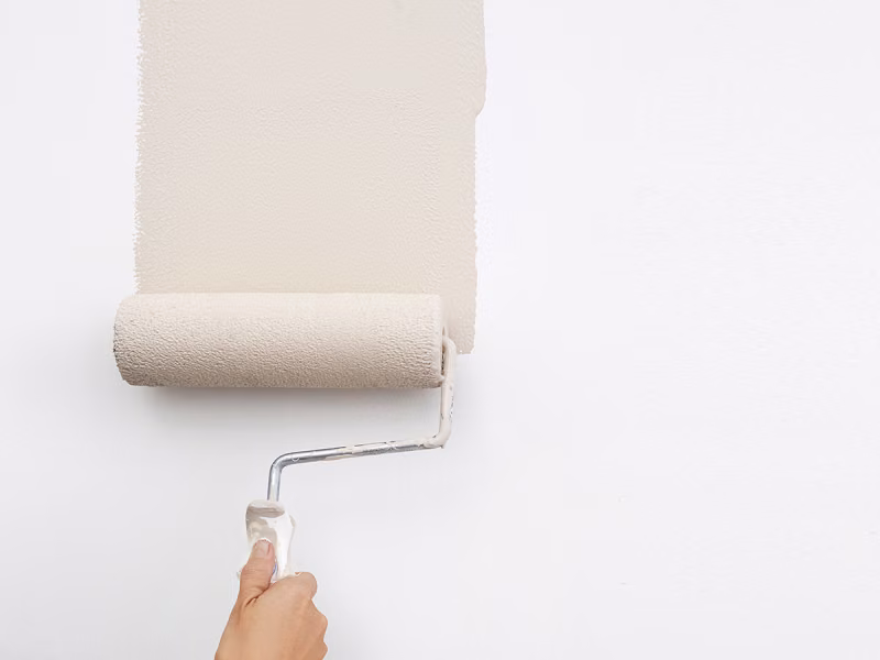 painting the wall with liitu