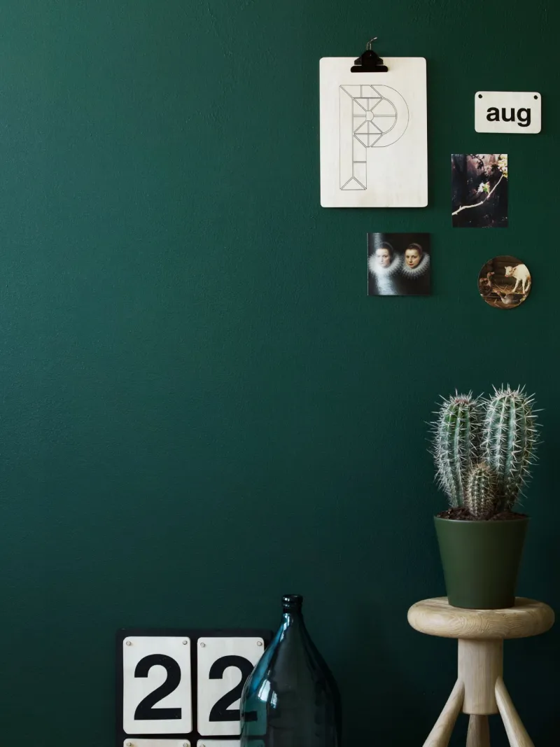 rich dark green wall in study room